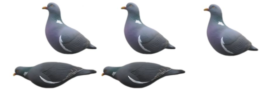 Stampi Colombaccio HD a Corpo Intero – Set da 5 o 10 Pezzi con Movimento Naturale