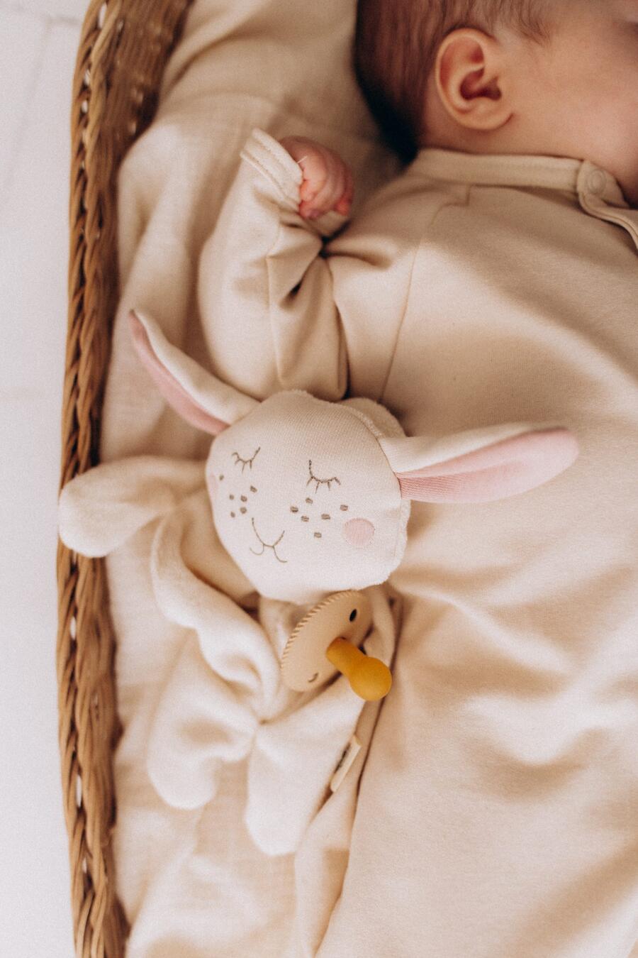 Doudou con portaciuccio integrato – Cotone bio GOTS