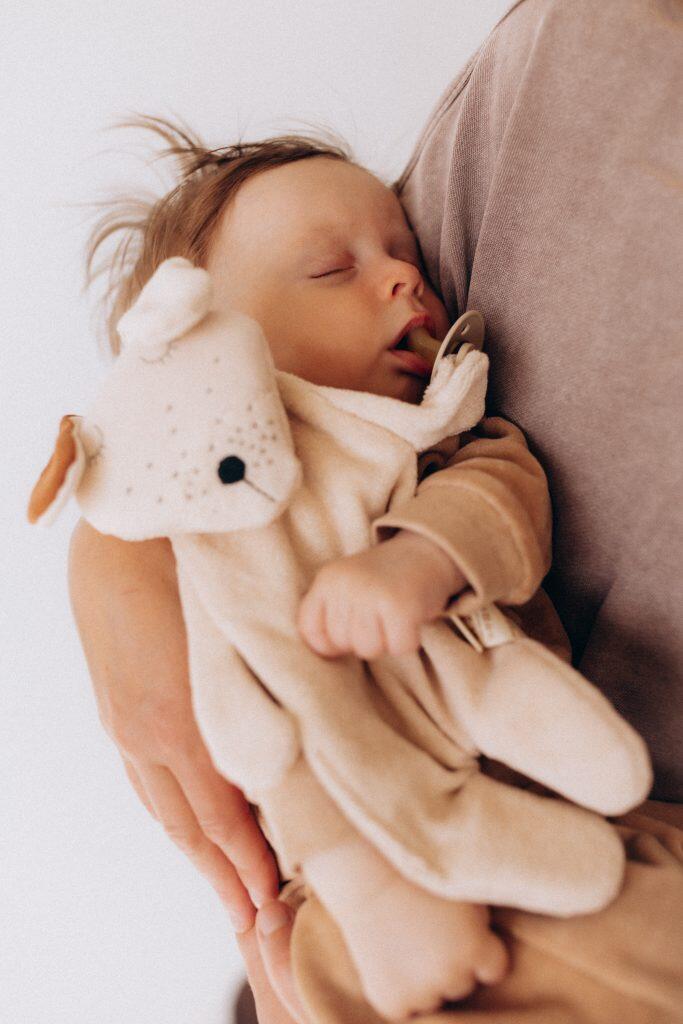 Doudou con portaciuccio integrato – Cotone bio GOTS