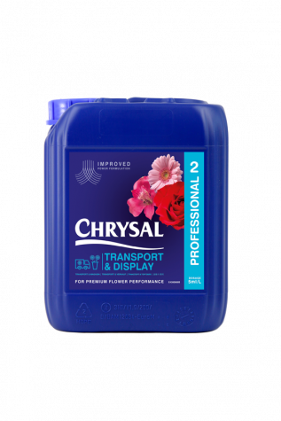 CHRYSAL PROFESSIONAL 2 NG 25 lt