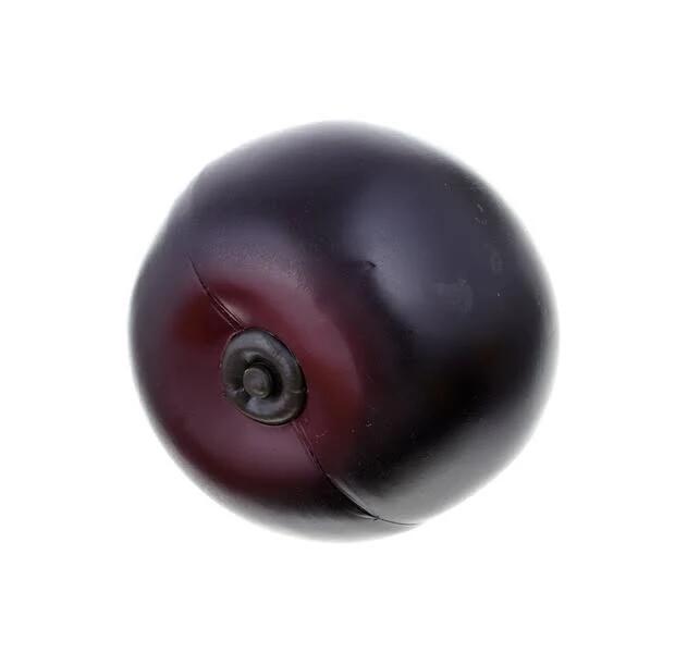 Remo Fruit Shaker - Conf. 7pz. assortiti