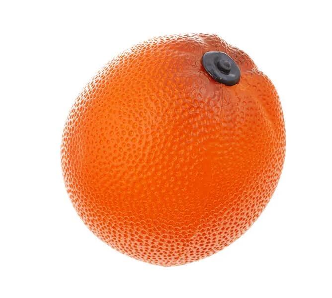 Remo Fruit Shaker - Conf. 7pz. assortiti