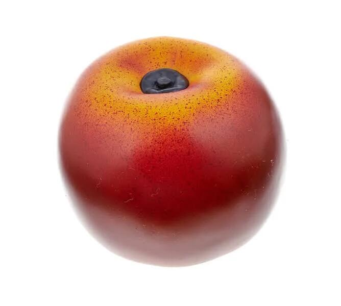 Remo Fruit Shaker - Conf. 7pz. assortiti