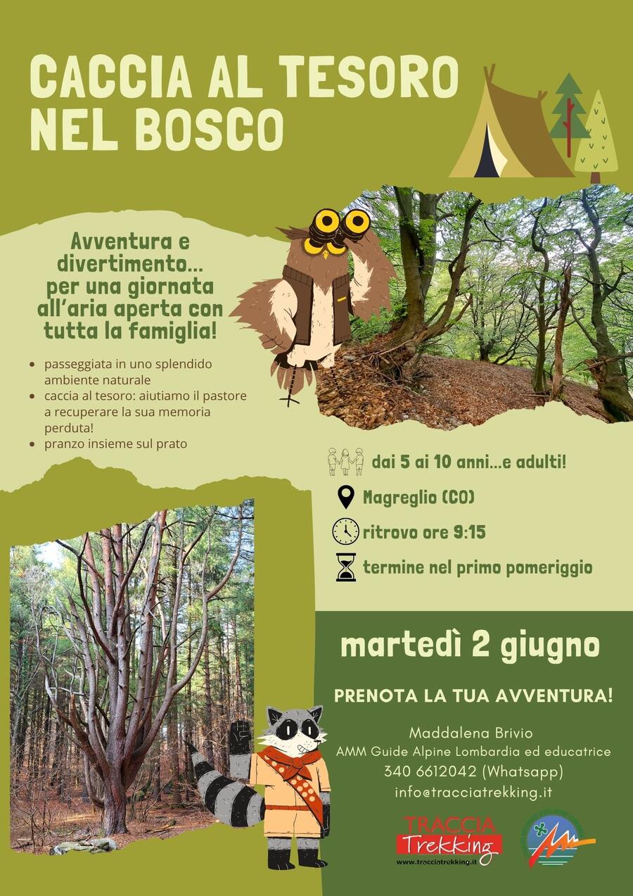CACCIA AL TESORO NEL BOSCO - martedì 02/06/2026 