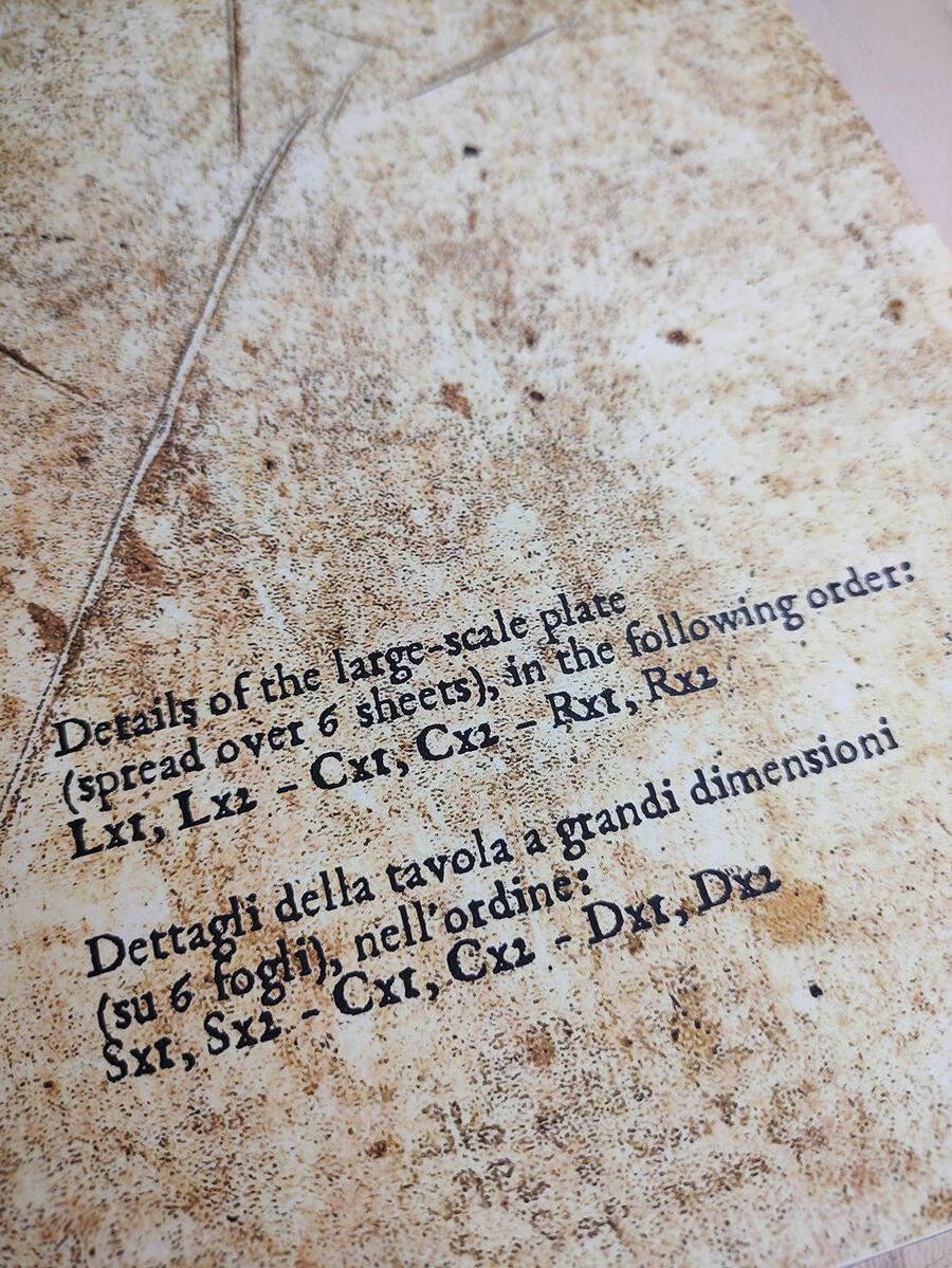 Il manoscritto Voynich - versione integrale IN VERSIONE POCKET