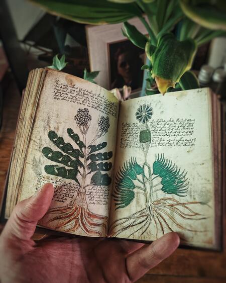 Il manoscritto Voynich - versione integrale IN VERSIONE POCKET