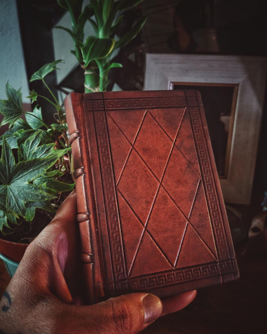 Il manoscritto Voynich - versione integrale IN VERSIONE POCKET