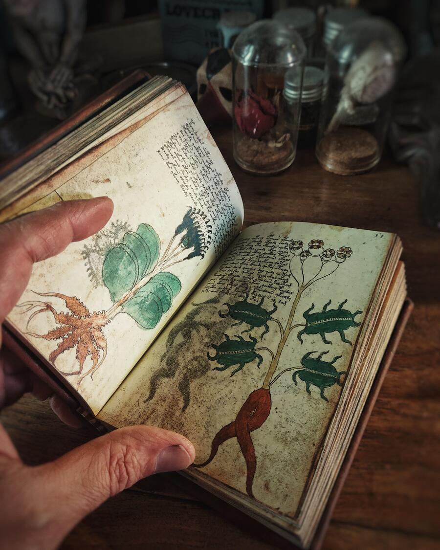 Il manoscritto Voynich - versione integrale IN VERSIONE POCKET