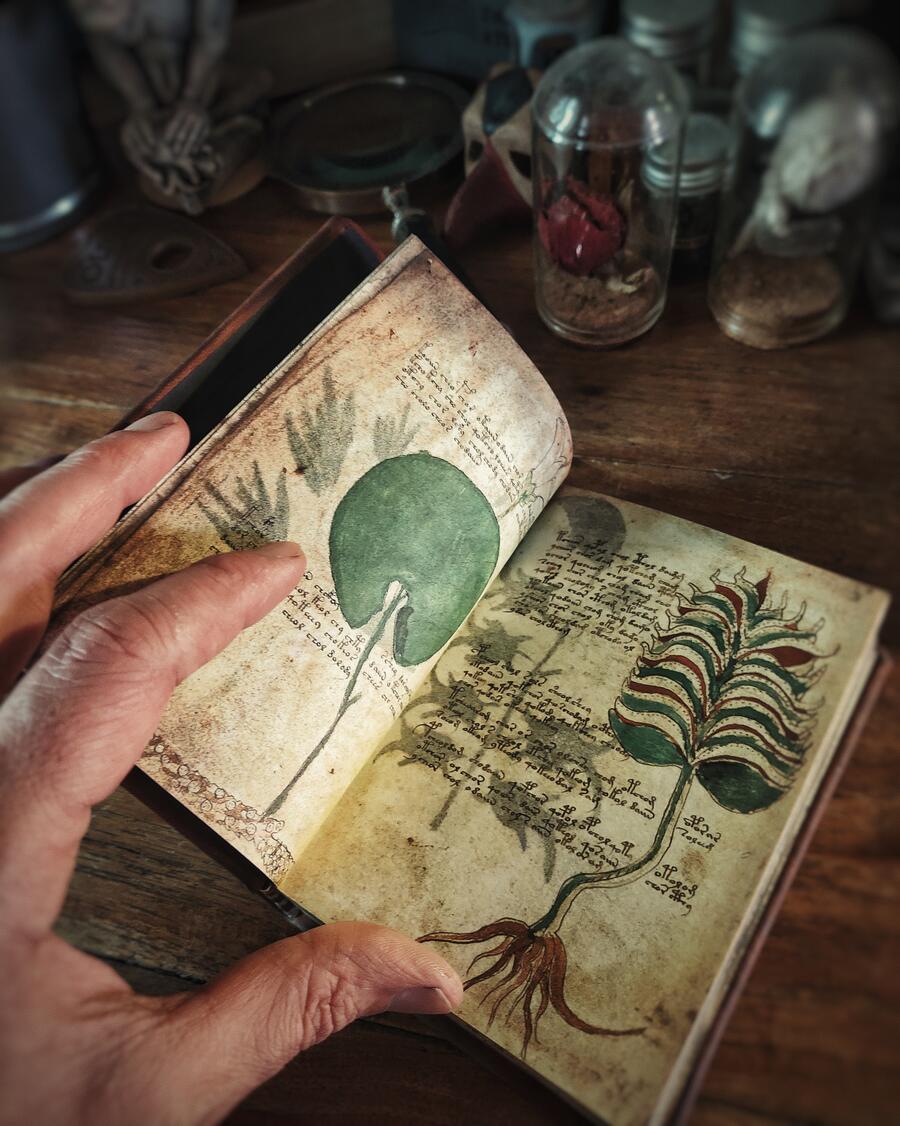 Il manoscritto Voynich - versione integrale IN VERSIONE POCKET