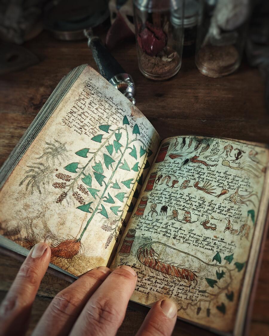 Il manoscritto Voynich - versione integrale IN VERSIONE POCKET