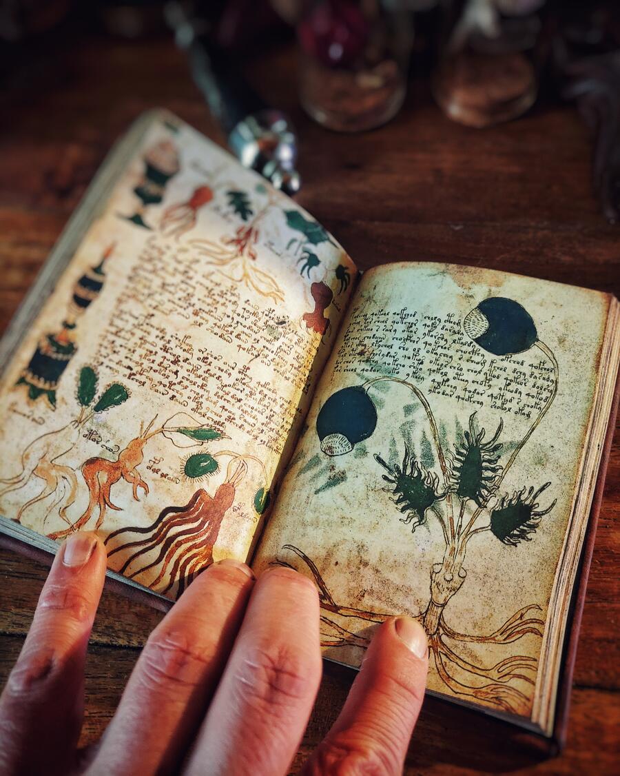 Il manoscritto Voynich - versione integrale IN VERSIONE POCKET
