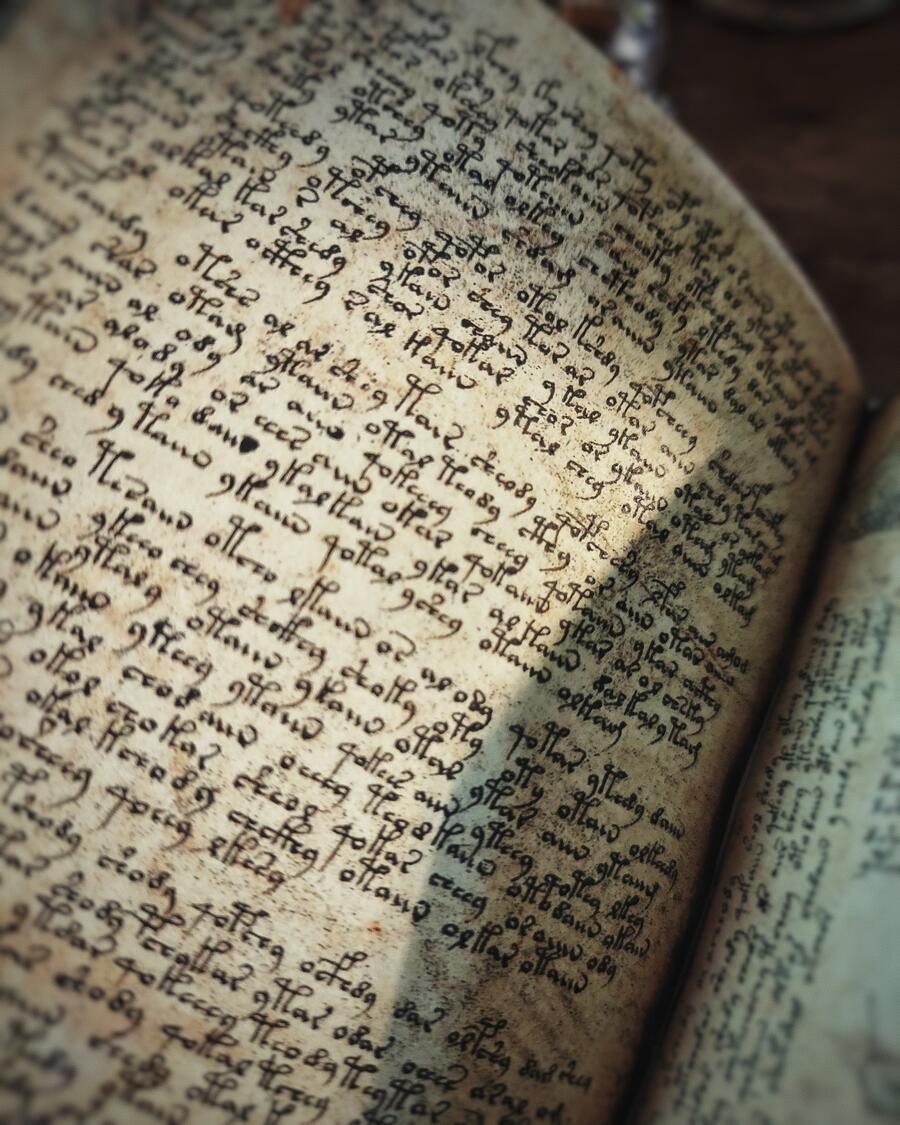 Il manoscritto Voynich - versione integrale IN VERSIONE POCKET