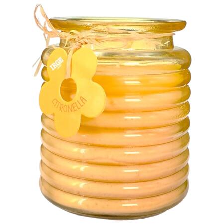 IRGE CANDELA ALLA CITRONELLA IN VETRO 110 GR (Confezione da 6 pezzi) 