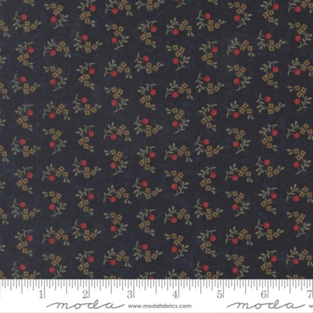 9834-14 tessuto americano Quail Run Kansas Troubles Quilters taglio 25x110 cm