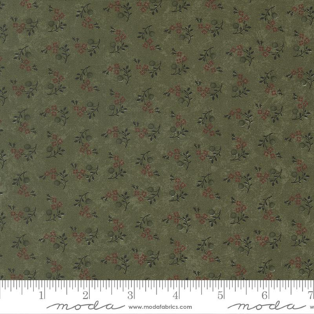 9834-15 tessuto americano Quail Run Kansas Troubles Quilters taglio 25x110 cm
