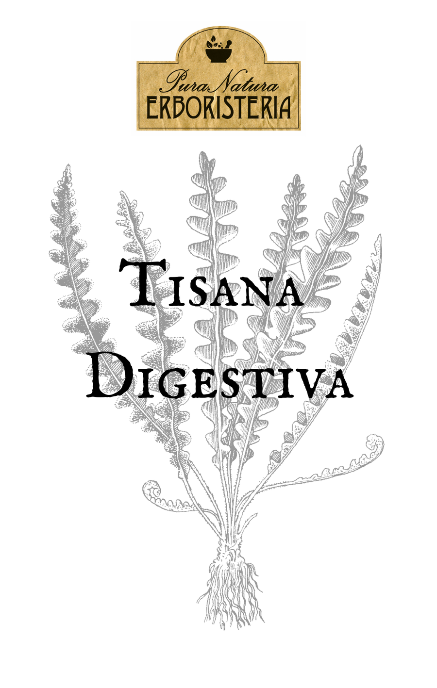 Tisana Digestiva