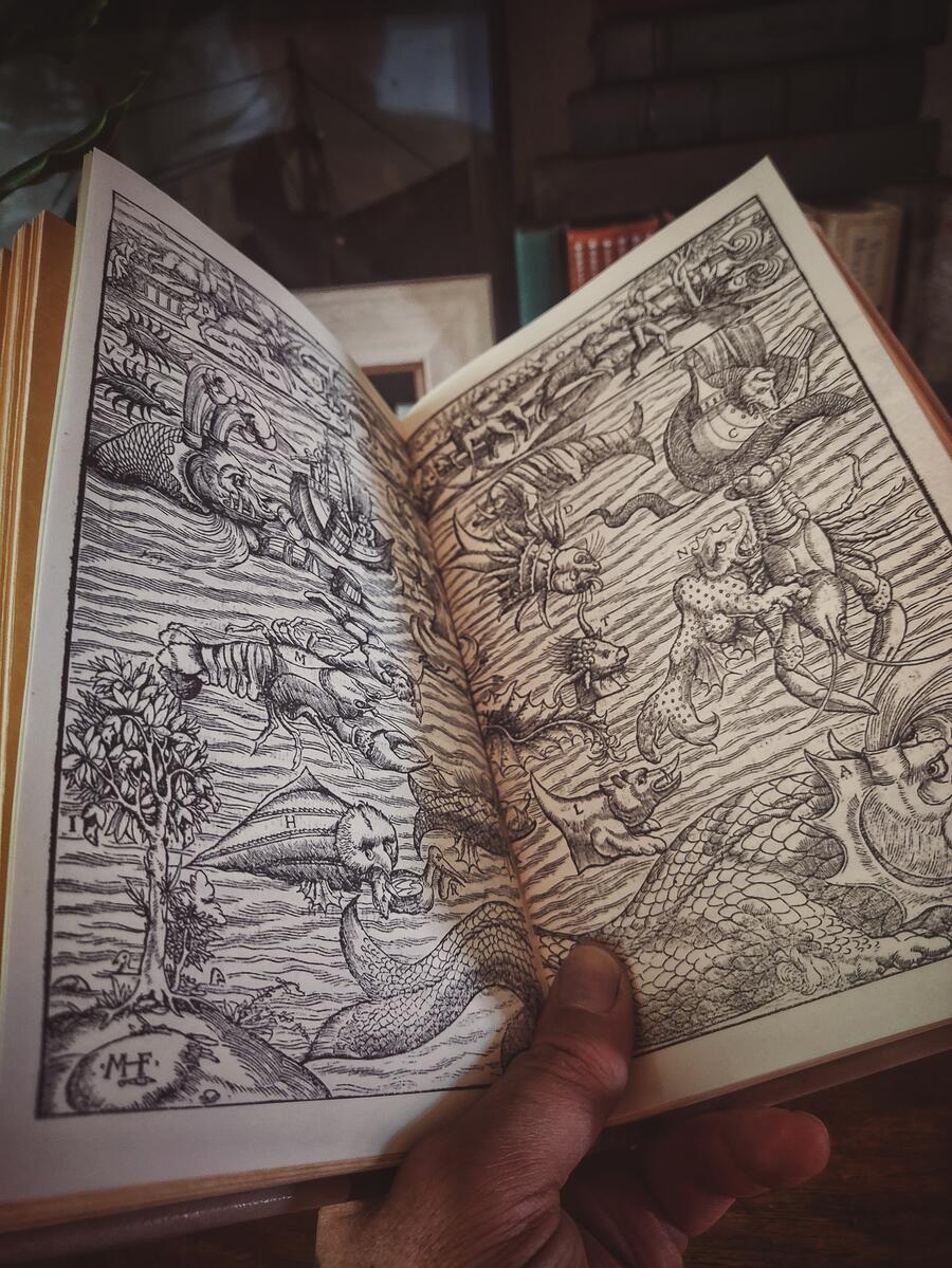 Prodigiorum ac ostentorum chronicon - Conrad Lycosthenes - Anno 1557 