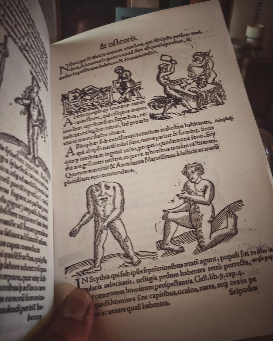 Prodigiorum ac ostentorum chronicon - Conrad Lycosthenes - Anno 1557 