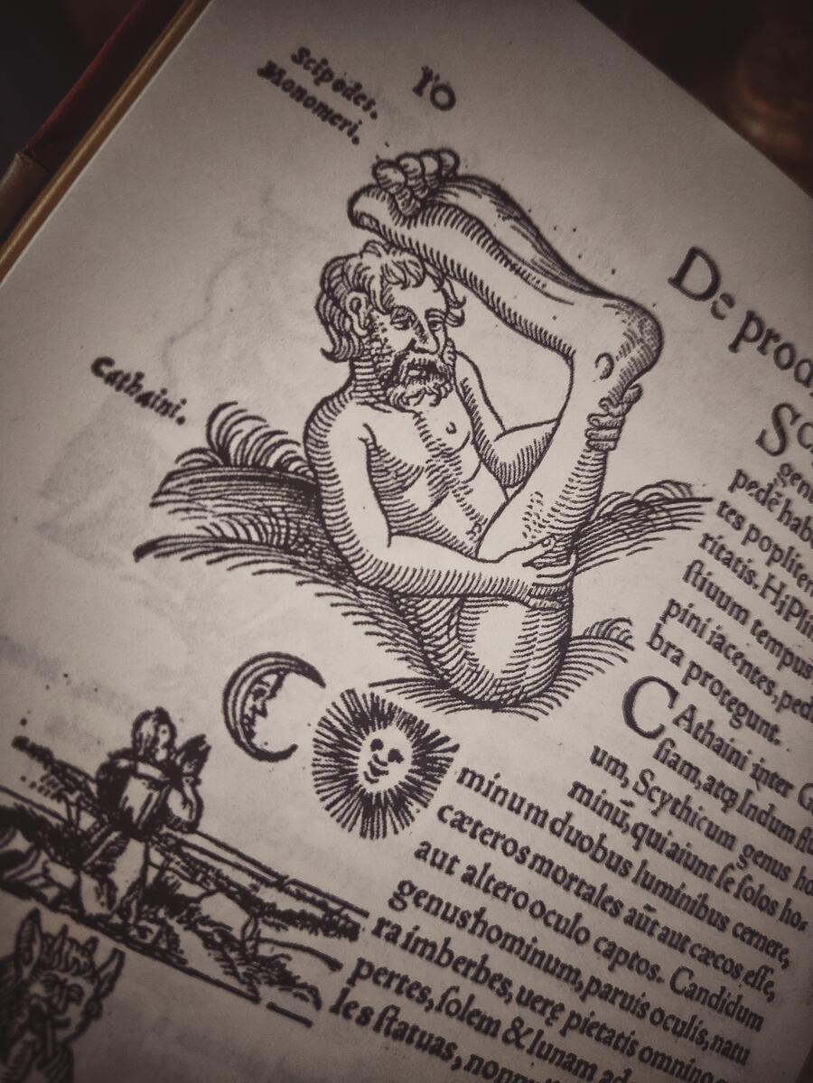 Prodigiorum ac ostentorum chronicon - Conrad Lycosthenes - Anno 1557 