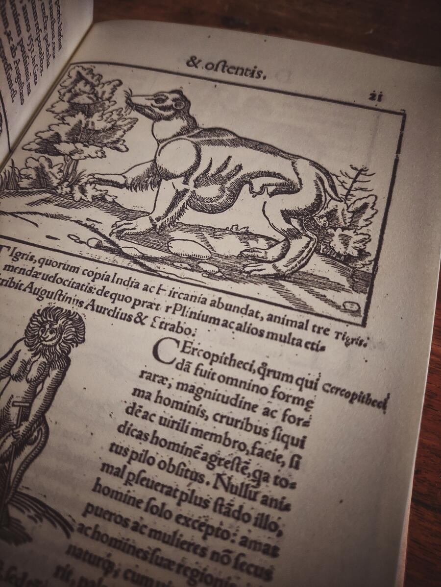 Prodigiorum ac ostentorum chronicon - Conrad Lycosthenes - Anno 1557 