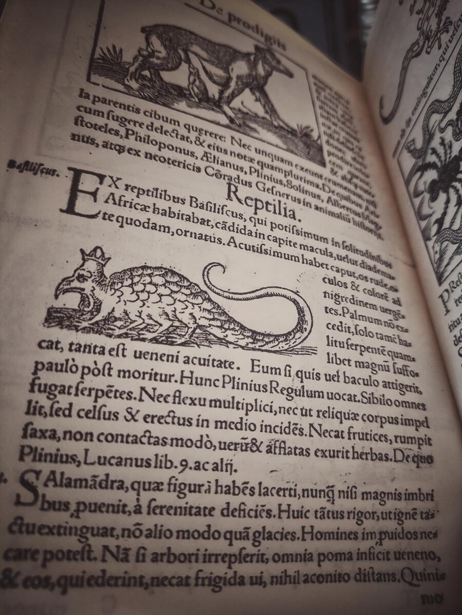 Prodigiorum ac ostentorum chronicon - Conrad Lycosthenes - Anno 1557 