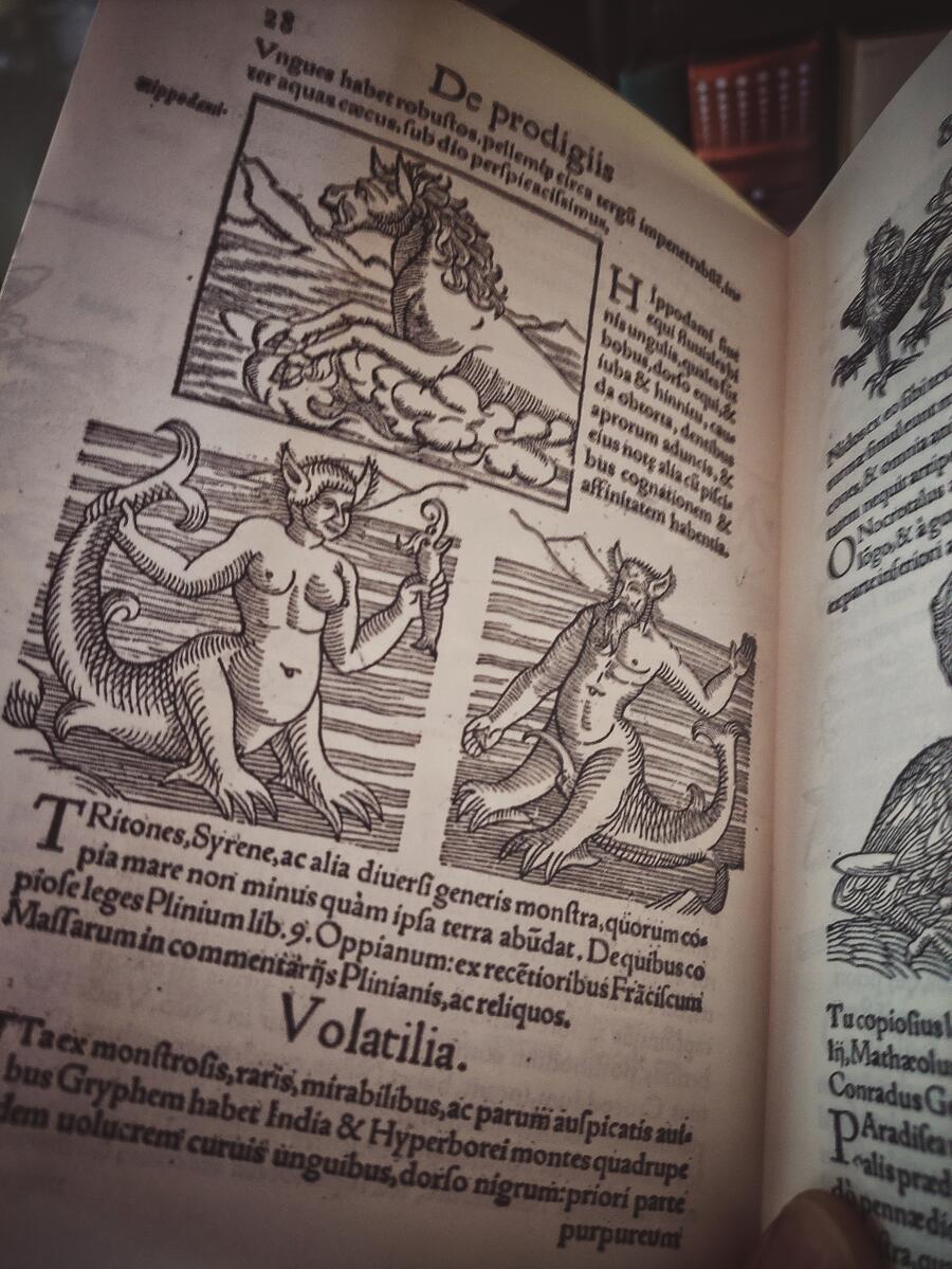 Prodigiorum ac ostentorum chronicon - Conrad Lycosthenes - Anno 1557 
