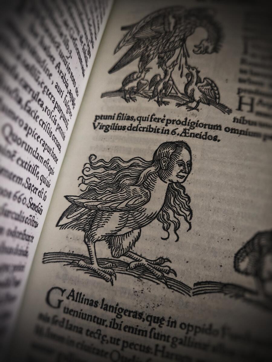 Prodigiorum ac ostentorum chronicon - Conrad Lycosthenes - Anno 1557 