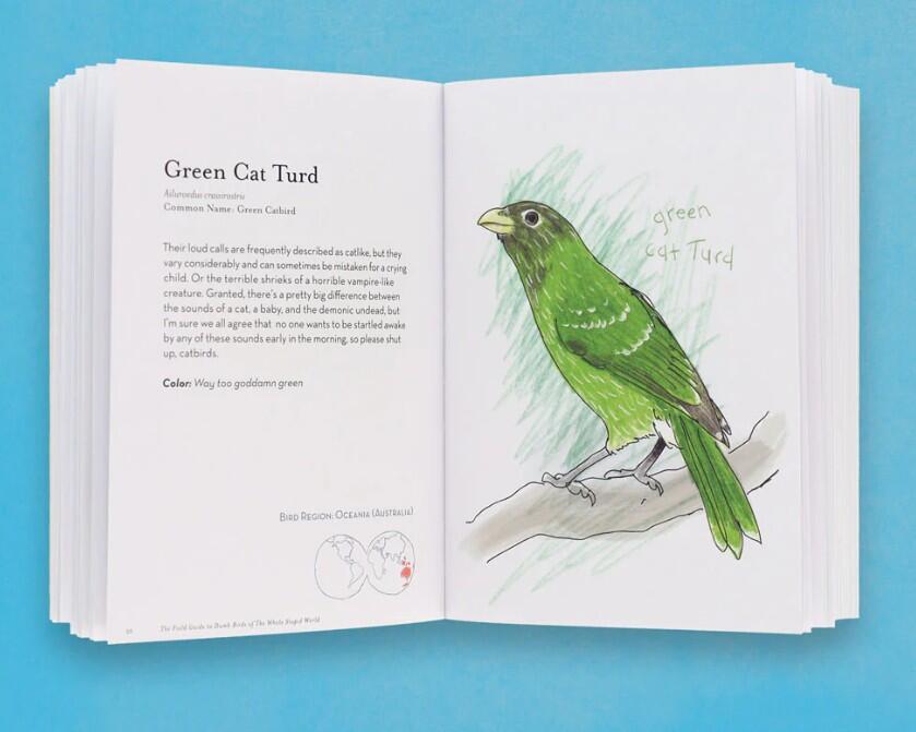 The Field Guide to Dumb Birds of the Whole Stupid World