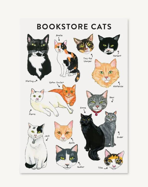 Bibliophile Flexi Journal: Bookstore Cats