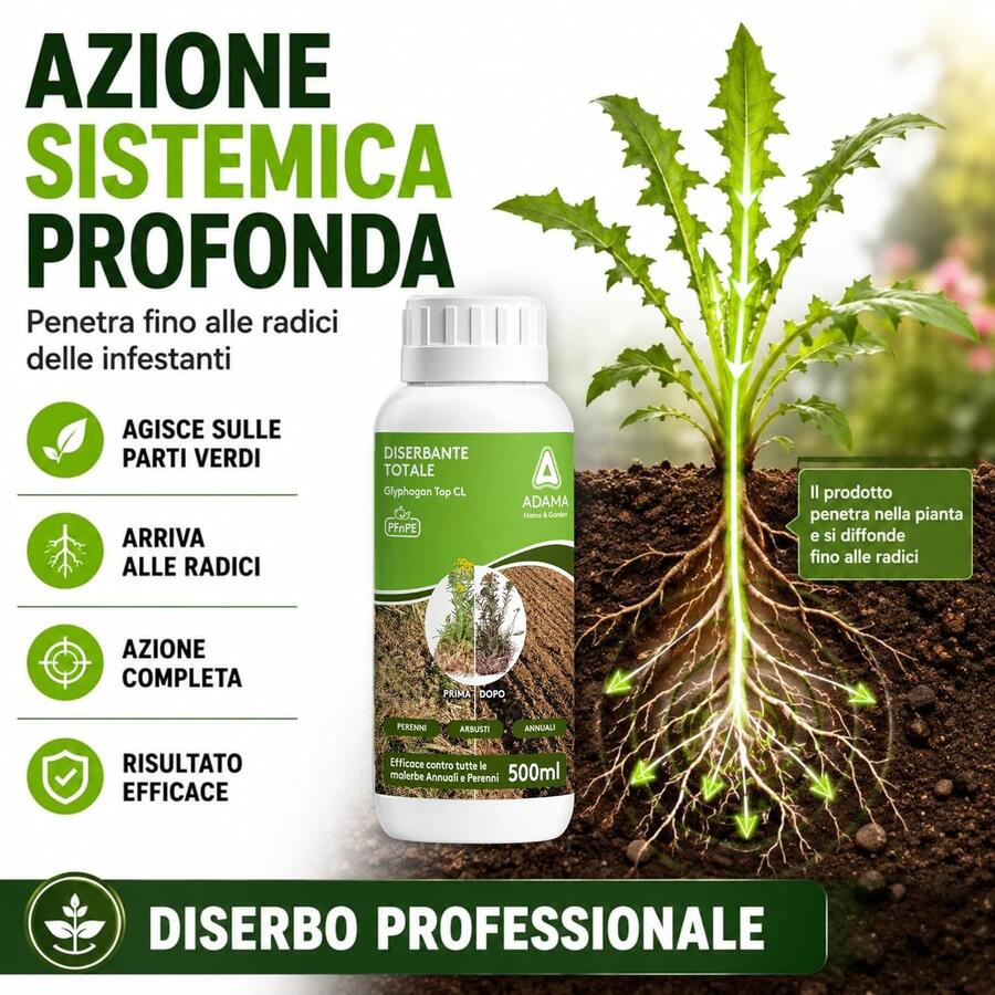 Adama Gliphogan Diserbante Totale 500 ml Erbicida Glifosate Arbusti Erba Muschi Alghe