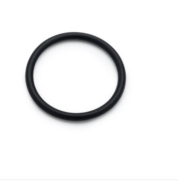 O-RING Orm 0170-20 Fkm