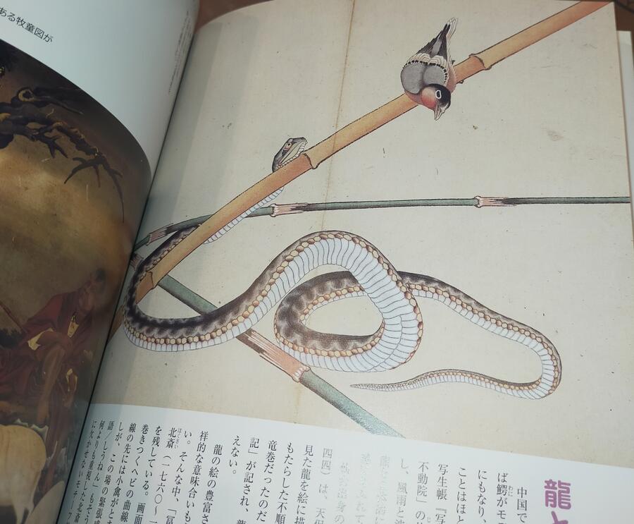 Fantastic Animals - Animals of Edo