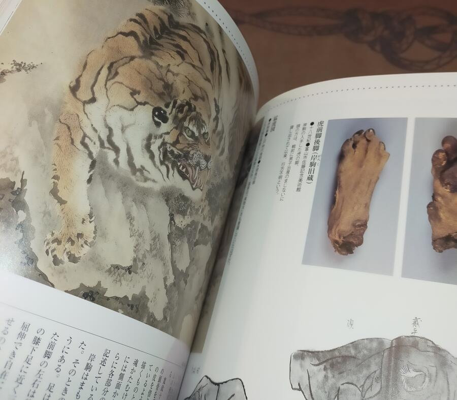 Fantastic Animals - Animals of Edo