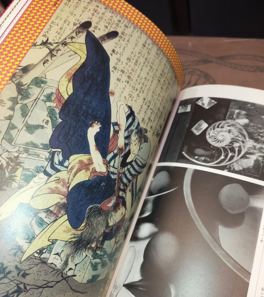 Yoshitoshi - Gods of Madness