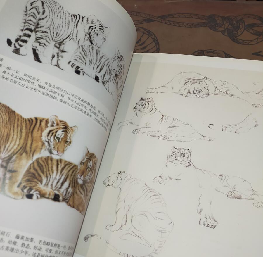 Masterpieces of Chinese Paintings: Birds and Animals