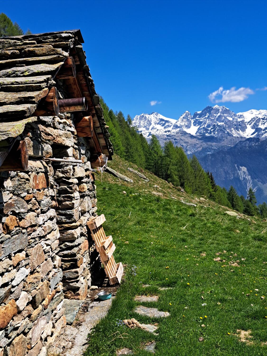 Dom. 14/06/2026 -  SASSO BIANCO e due laghi alpini stupendi! 