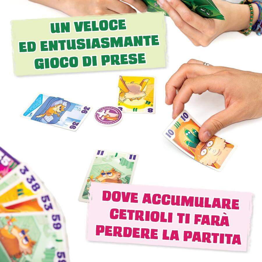 Gatti che Odiano i Cetrioli