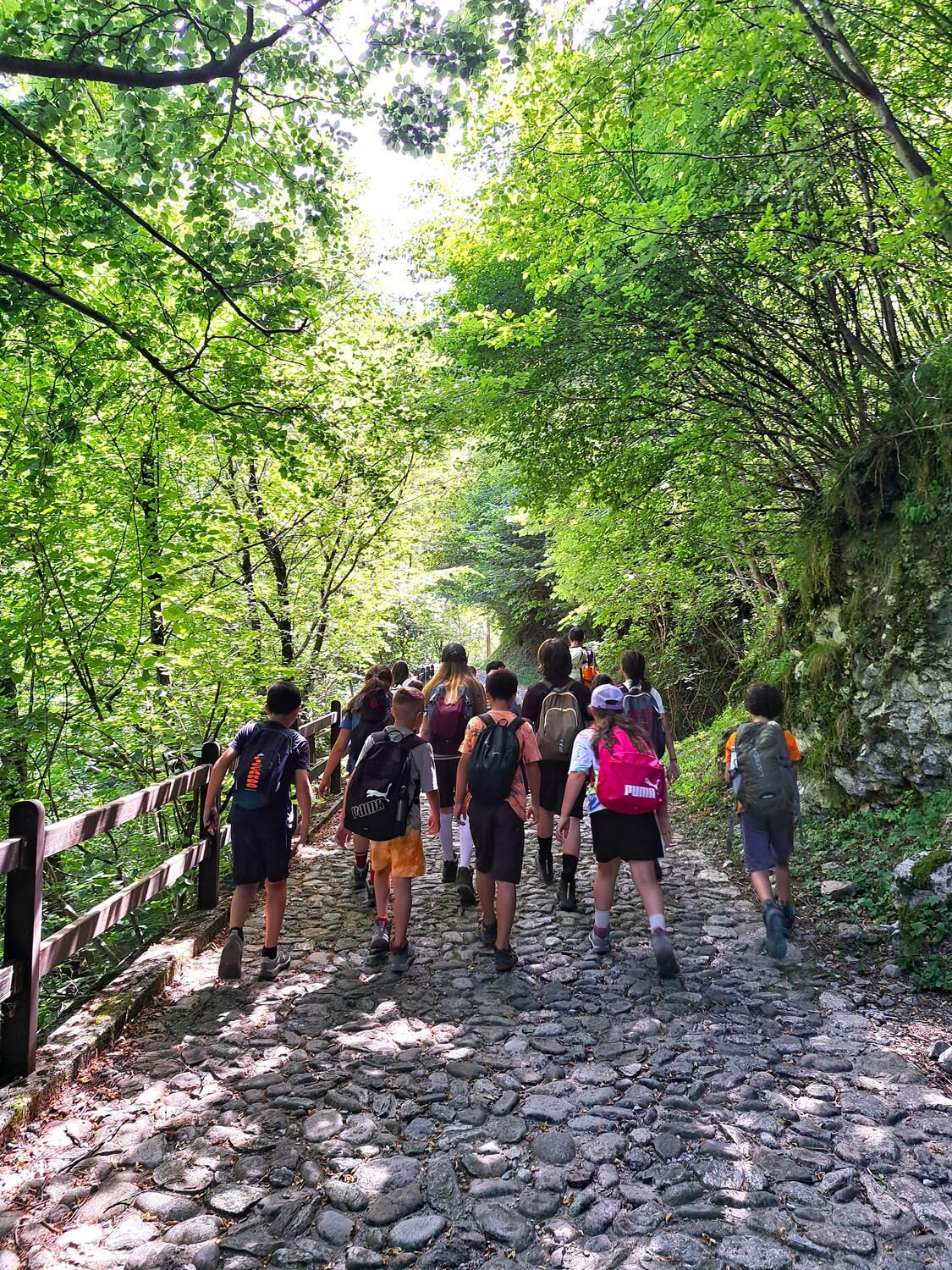 dom. 12/07/2026 CACCIA AL TESORO NEL BOSCO 