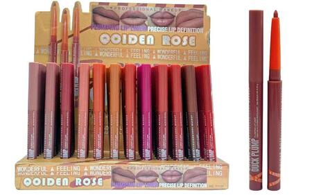 QOIDEN ROSE PLUMPING LIP LINER [Conf. da 72 pezzi]