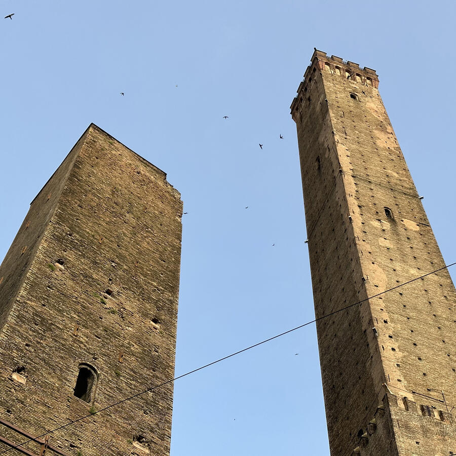 Rondine di Bologna Ciondolo