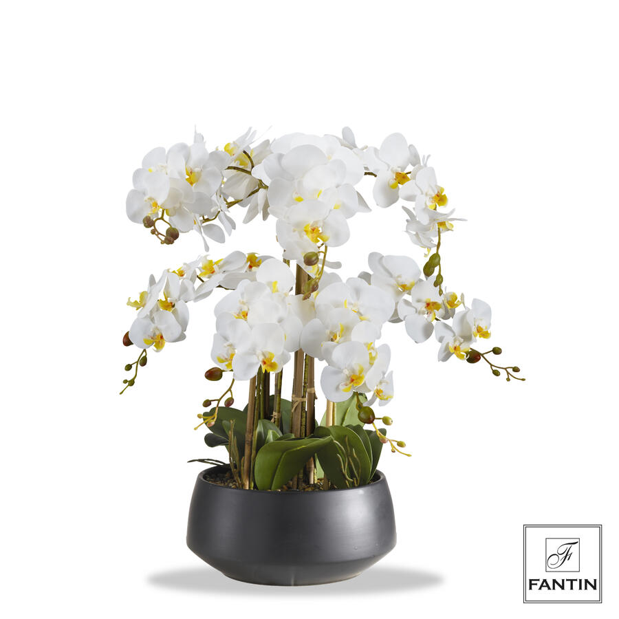 Orchidea Bianca Artificiale 8 Rami Realtouch con Vaso Ceramica Nera Fantin Argenti Ø28xh60cm