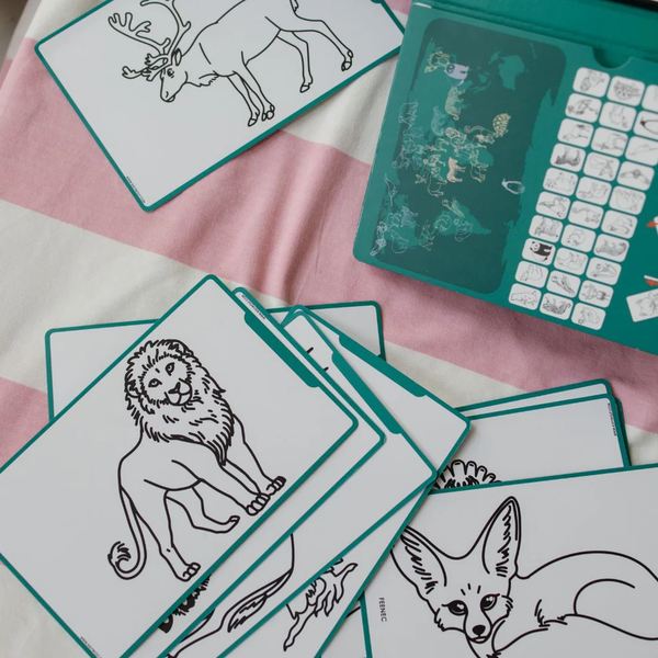 Kidydraw Mini - Wild
