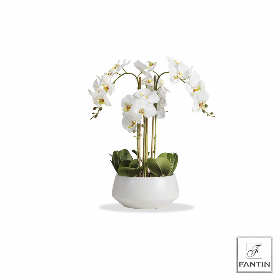 Fantin Argenti – Pianta Orchidea Artificiale Bianca 4 Rami Real Touch con Vaso in Ceramica Bianca