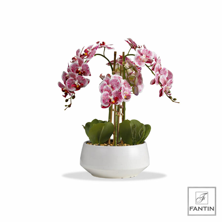 Fantin Argenti – Pianta Orchidea Artificiale Rosa Fucsia 4 Rami Real Touch con Vaso in Ceramica Bianca