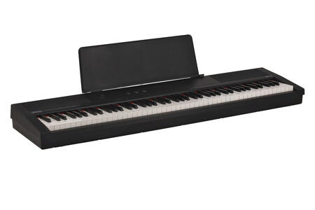 GEWA Piano portatile PP-2