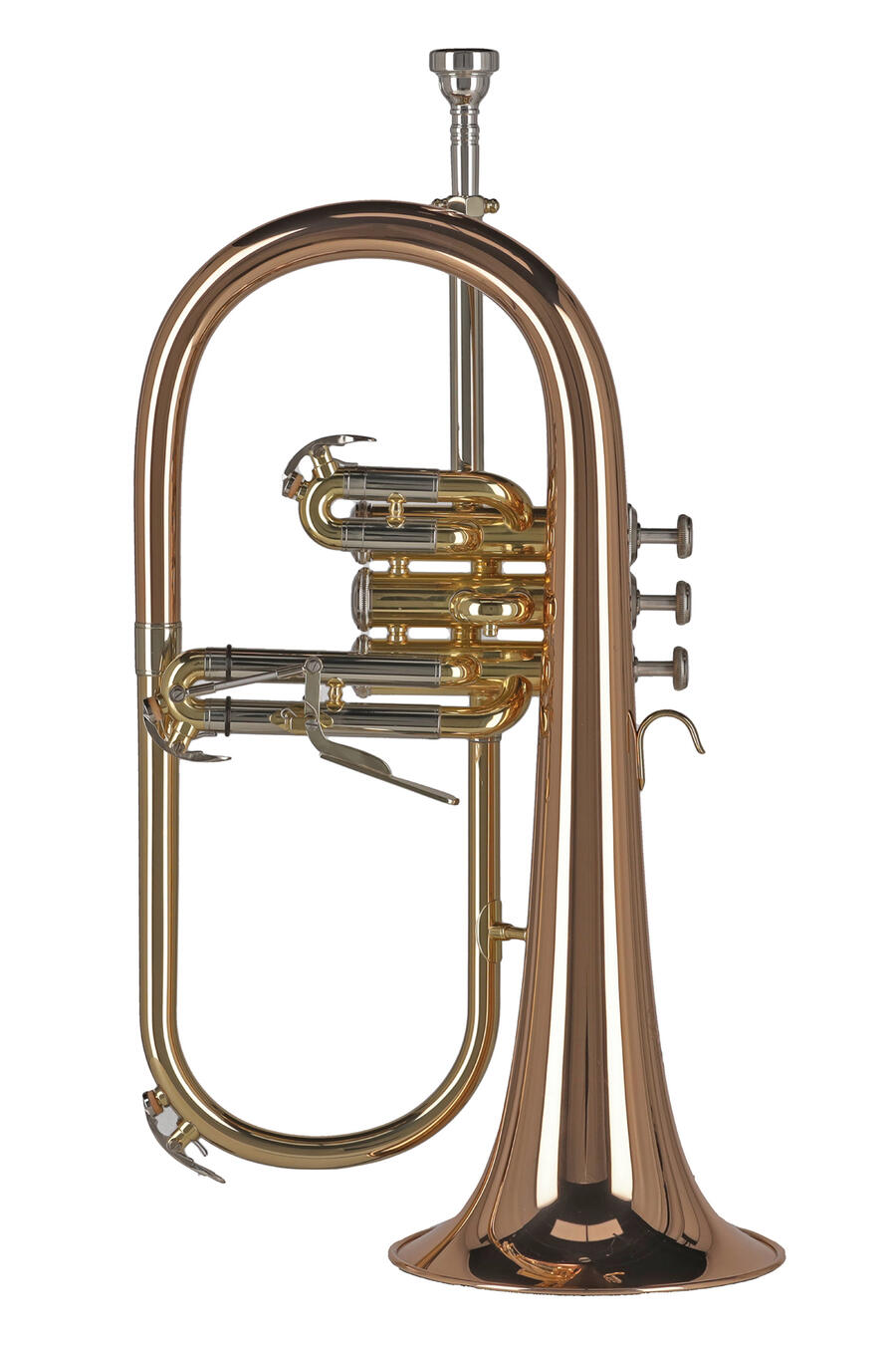 GEWA Germany Flicorno in Sib FH501 Ambition