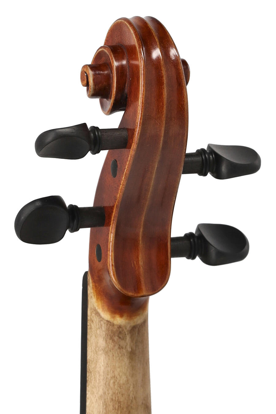 GEWA Set Violino SONATA - EUROPA