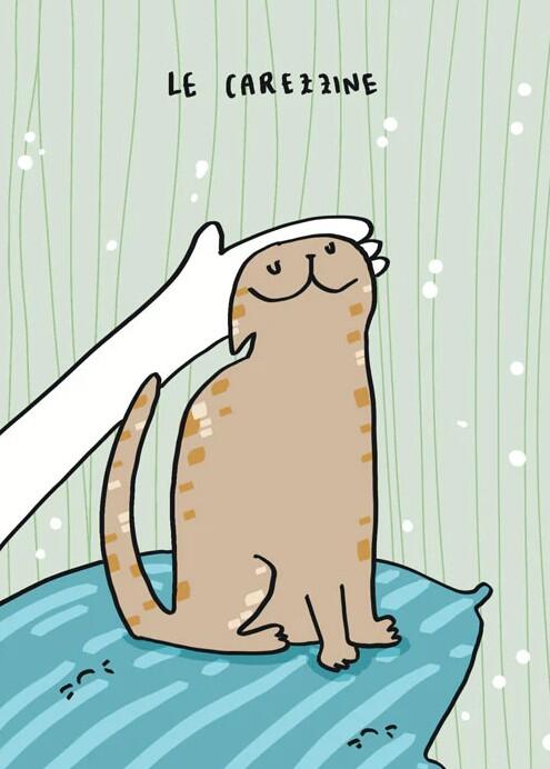 Le cose belle dei gatti
