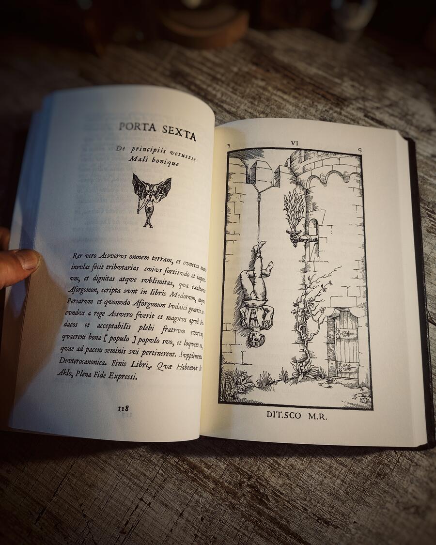 De Umbrarum Regni Novem Portis - Aristide Torchia, Venezia 1666