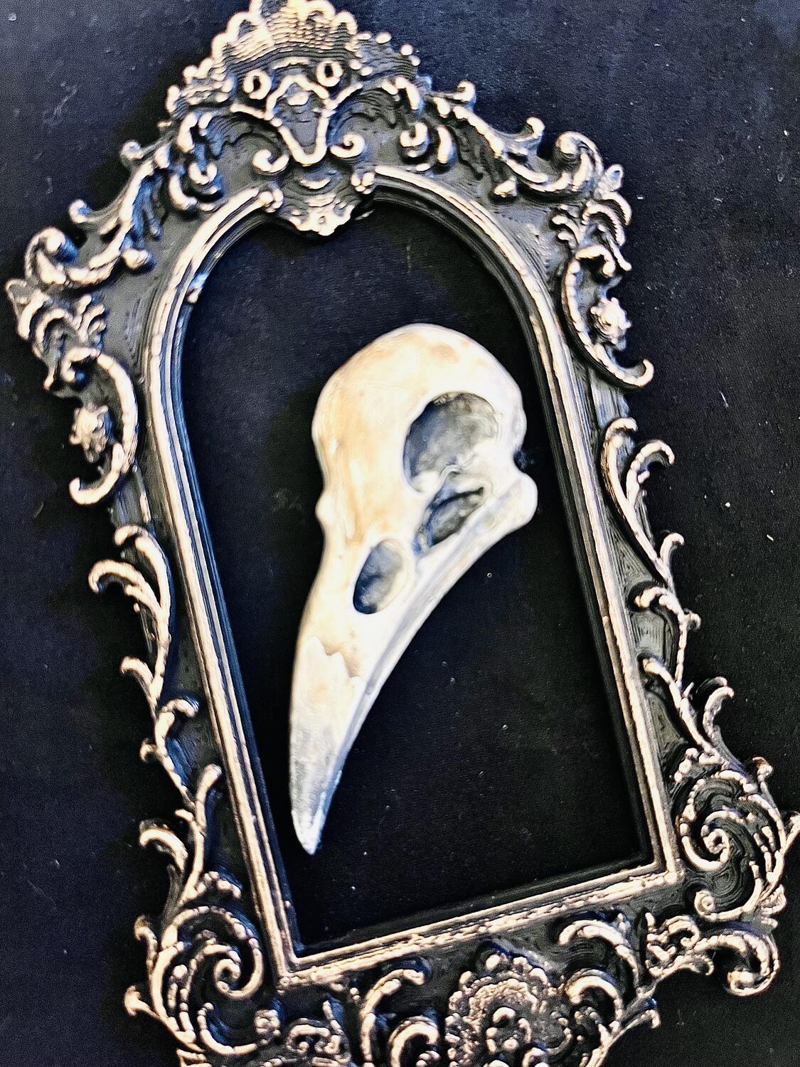 Grimorio del Corvo Bianco